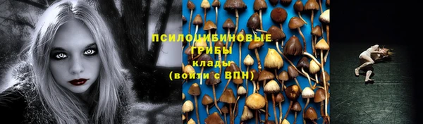 сатива Новодвинск