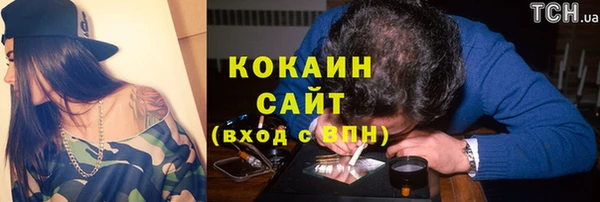 сатива Новодвинск