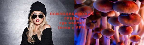 сатива Новодвинск