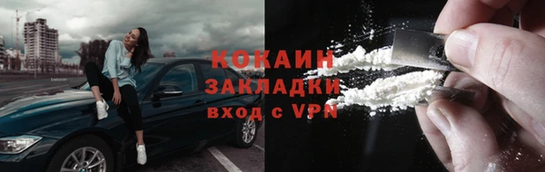 сатива Новодвинск