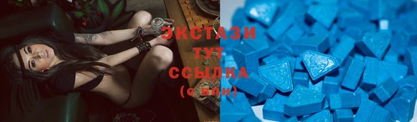 сатива Новодвинск