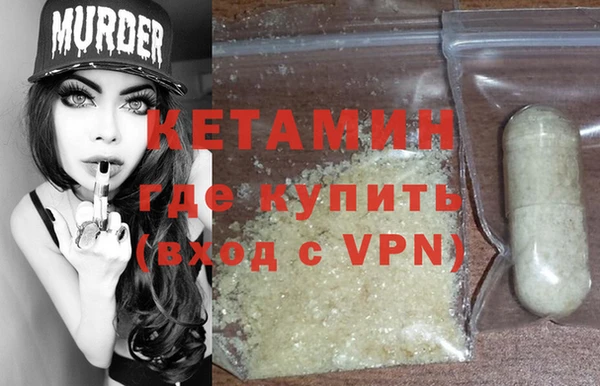 сатива Новодвинск