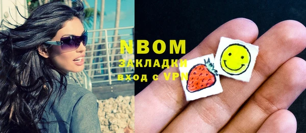 сатива Новодвинск