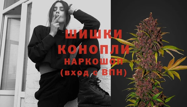 сатива Новодвинск