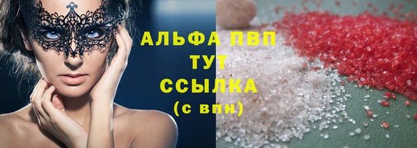 сатива Новодвинск